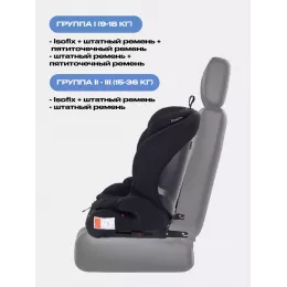 Автокресло Rant Basic Apex isofix 1-2-3 (9-36 кг) Black