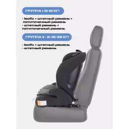Автокресло Rant Basic Apex isofix 1-2-3 (9-36 кг) Grey