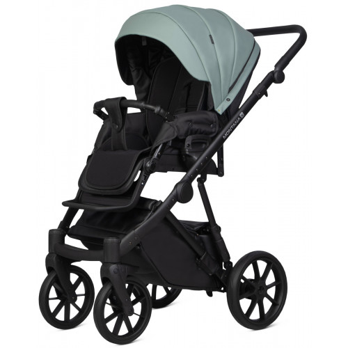 Детская коляска Riko Basic Montana X Ecco 2 в 1 21 Green (зеленый)