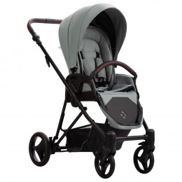 Детская коляска Bebetto Yoddi Pro 2 в 1 04 шалфей кожа