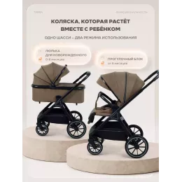 Коляска 2 в 1 Rant Basic Terra Brown