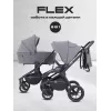 Коляска 2 в 1 Rant Flex 2025 RA076 Graphite