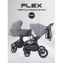 Коляска 2 в 1 Rant Flex 2025 RA076 Graphite