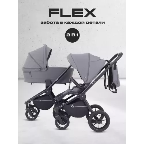 Коляска 2 в 1 Rant Flex 2025 RA076 Graphite