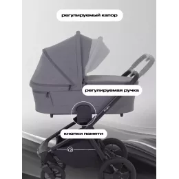 Коляска 2 в 1 Rant Flex 2025 RA076 Graphite