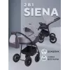 Коляска 2 в 1 Rant Siena 2024 02 темно-серый - светло-серый