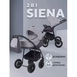 Коляска 2 в 1 Rant Siena 2024 02 темно-серый - светло-серый