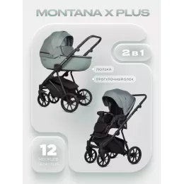 Коляска 2 в 1 Riko Basic Montana X Plus 41 Green