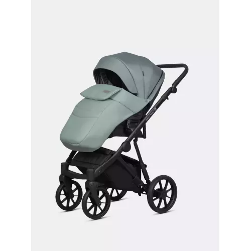Коляска 2 в 1 Riko Basic Montana X Plus 41 Green