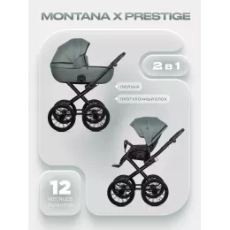 Коляска 2 в 1 Riko Basic Montana X Prestige 51 Green