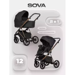 Коляска 2 в 1 Riko Sova 04 Carbon