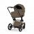 Купить коляску 2в1 Cybex Priam 5 Style, в цвете Coconut Brown (шасси Rose Gold)