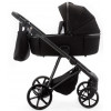 Детская коляска Adamex Delta Natura 2 в 1 DN-11-CARBON (ЧЕРНЫЙ)