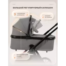 Коляска 2 в 1 Rant Basic Terra Graphite