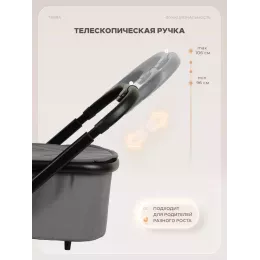 Коляска 2 в 1 Rant Basic Terra Graphite