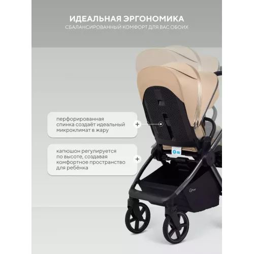 Коляска 2 в 1 Rant Falcon Therm Soft Beige