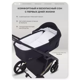 Коляска 2 в 1 Rant Garda Black