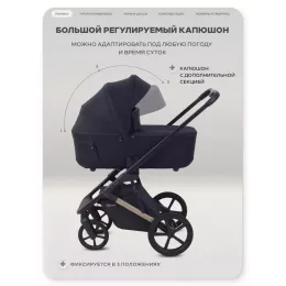 Коляска 2 в 1 Rant Garda Black