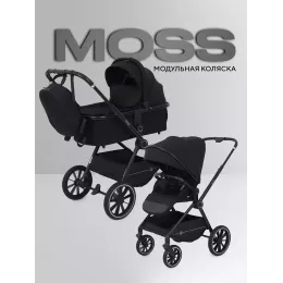 Коляска 2 в 1 Rant Moss 2025 Black