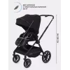 Коляска 2 в 1 Rant Moss 2025 Black
