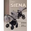 Коляска 2 в 1 Rant Siena 2024 06 бежевый