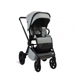 Коляска 2в1 Peppy Monaco plus, в цвете Mint (рама черная)