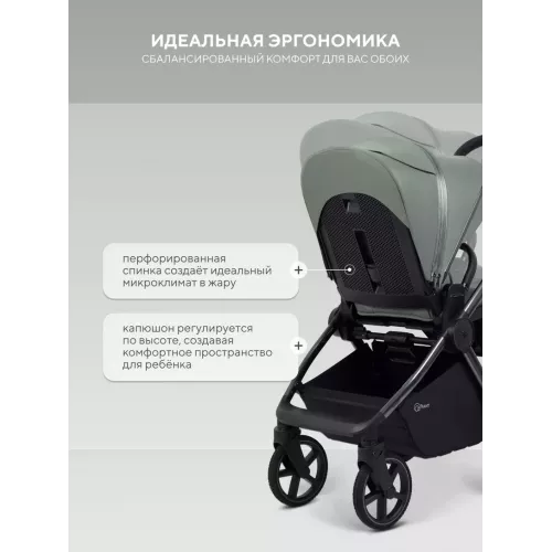Коляска 2 в 1 Rant Falcon Therm Soft Olive