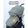 Коляска 2 в 1 Rant Flex Soft Therm Forest green