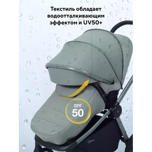 Коляска 2 в 1 Rant Flex Soft Therm Forest green