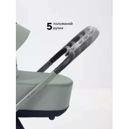 Коляска 2 в 1 Rant Flex Soft Therm Forest green