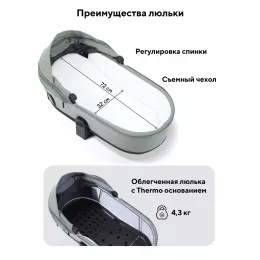 Коляска 2 в 1 Rant Flex Soft Therm Forest green