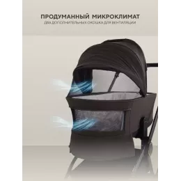 Коляска 2 в 1 Rant Flex Soft Therm Shine brown