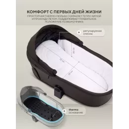 Коляска 2 в 1 Rant Flex Soft Therm Shine brown