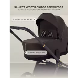 Коляска 2 в 1 Rant Flex Soft Therm Shine brown