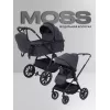 Коляска 2 в 1 Rant Moss 2025 Graphite