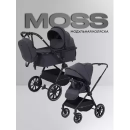Коляска 2 в 1 Rant Moss 2025 Graphite