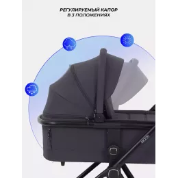 Коляска 2 в 1 Rant Moss 2025 Graphite
