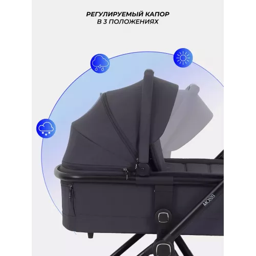 Коляска 2 в 1 Rant Moss 2025 Graphite