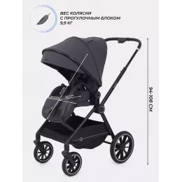 Коляска 2 в 1 Rant Moss 2025 Graphite
