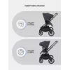Коляска 2 в 1 Rant Moss 2025 Graphite