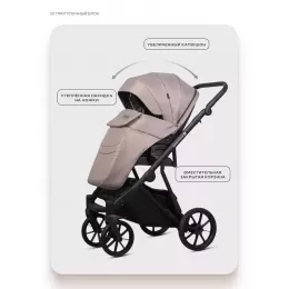 Коляска 2 в 1 Riko Basic Montana X 50 Beige