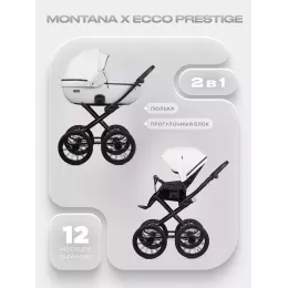 Коляска 2 в 1 Riko Basic Montana X Ecco Prestige 11 White