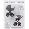 Коляска 2 в 1 Riko Basic Montana X Prestige 04 графит