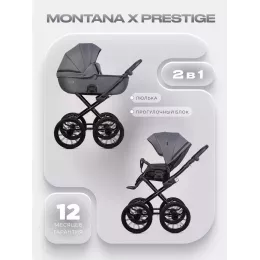 Коляска 2 в 1 Riko Basic Montana X Prestige 04 графит