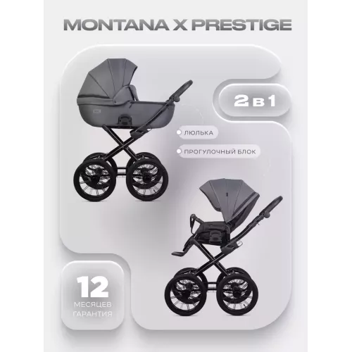 Коляска 2 в 1 Riko Basic Montana X Prestige 04 графит