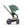 Купить коляску 2в1 Cybex e-Priam, в цвете Leaf Green (шасси Rose Gold)