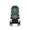 Купить коляску 2в1 Cybex e-Priam, в цвете Leaf Green (шасси Rose Gold)