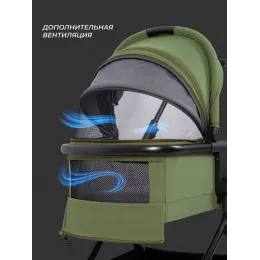 Коляска 2 в 1 Rant Moss 2025 Green