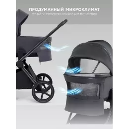 Коляска 2 в 1 Rant Falcon Therm Soft Graphite