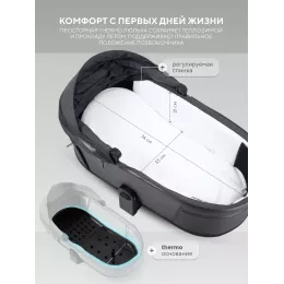 Коляска 2 в 1 Rant Falcon Therm Soft Graphite